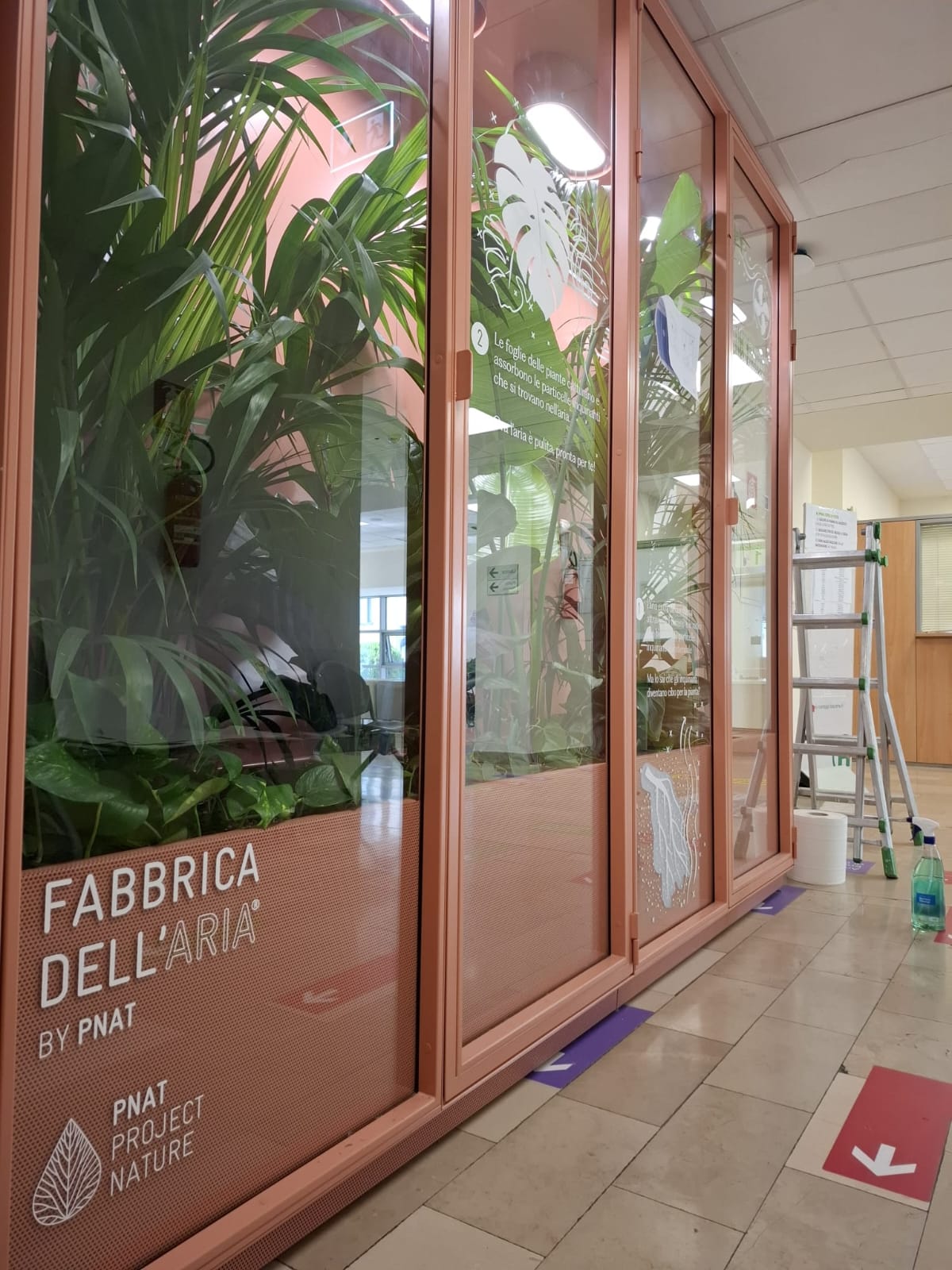 adesivi su vetro a Firenze